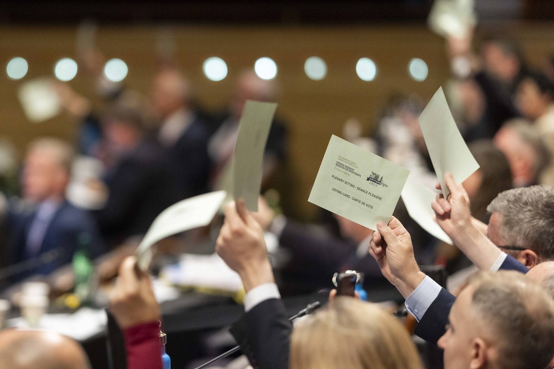 Stemmen tijdens voorjaarsvergadering NAVO PA