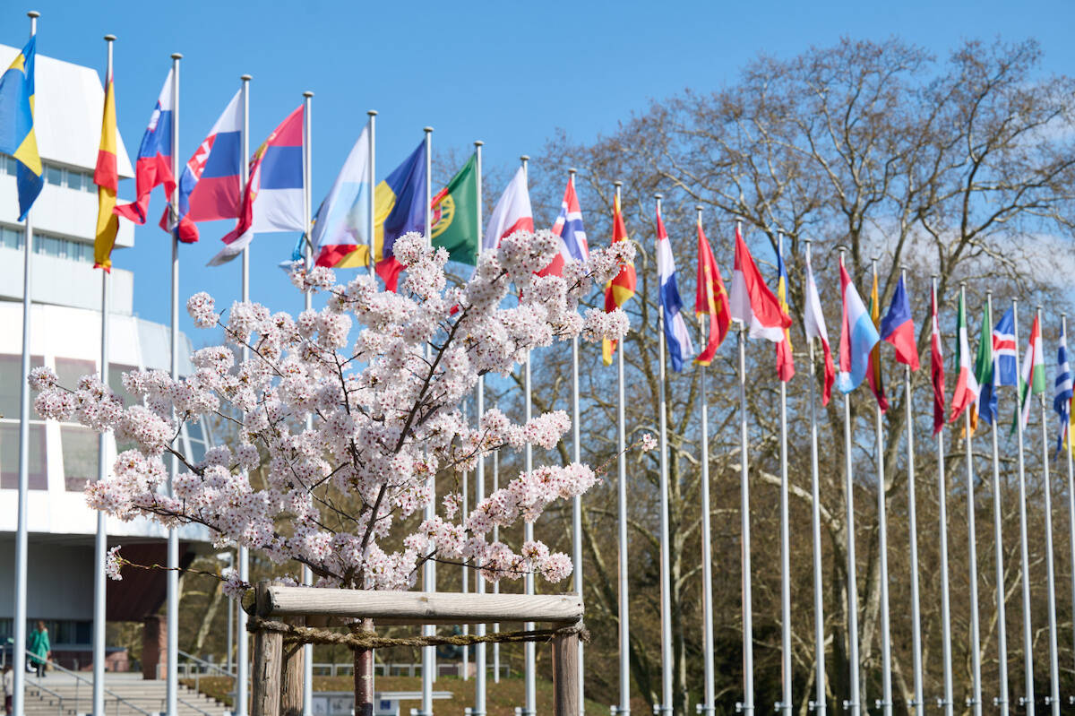 Voorjaar bij het Palais de l'Europe in Straatsburg